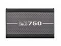 Cooler Master zdroj ELITE Gold 750W FM, 120mm, Pln