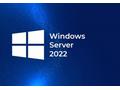 HPE Windows Server 2022 CAL 10 User