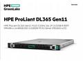 HPE PL DL365g11 AMD Epyc 9115 (2.6-4.1, 16C) 2x32G