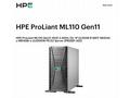 HPE PL ML110g11 4510 (2.4G, 12C) NS204(2x480) 2x32