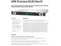 HPE PL DL20g11 6325P (3.5G, 4C8T) 1x32G 2x480G SSD