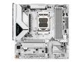 GIGABYTE MB Sc AM5 B850M EAGLE WF6E ICE, AMD B850,
