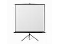 Reflecta TRIPOD Crystal 240x240cm (1:1, 131", 334c