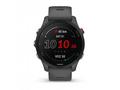 Garmin GPS sportovní hodinky Forerunner® 255, Slat