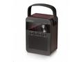 CARNEO F90 FM rádio, BT reproduktor, black, wood