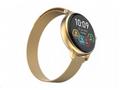 CARNEO Hero mini HR+, Gold, Elegant Band, Gold