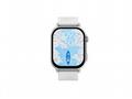 CARNEO Zephyr Ultra HR+, Silver, Elegant Band, Sil