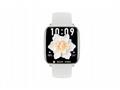 CARNEO Proxima HR+, Silver, Sport Band, White