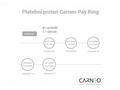 CARNEO PAY RING BRUSHED platební prsten černý V.11