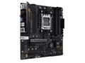 ASUS MB Sc AM5 TUF GAMING A620M-PLUS, AMD A620, 4x