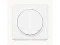 Tesla Smart Dimmer Touch