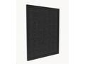 Tesla Smart Air Purifier Pro L Carbon Filter