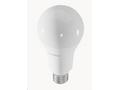 TechToy Smart Bulb RGB 11W E27