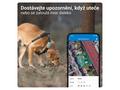 Tractive GPS DOG XL – sledování polohy a aktivity 
