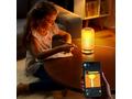 Govee Table Lamp 2 RGBW Stolní lampa Matter