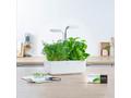 Véritable Lingot Kopr - BIO