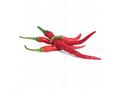 Véritable Lingot Cayenne pálivé chilli