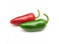 Véritable Lingot Jalapeno pálivé chilli