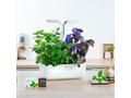 Véritable Lingot Meduňka lékařská - BIO