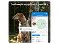 Tractive GPS DOG XL – Adventure Edition