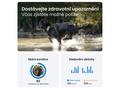 Tractive GPS DOG XL – Adventure Edition