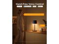 Govee Table Lamp Classic S RGBICWW stolní lampa, M