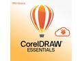 CorelDRAW Essentials 2024 Multi Language - Windows