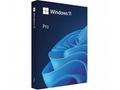 Windows 11 Pro - Krabicové balení - 1 licence - fl