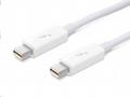 Apple Thunderbolt Cable (0.5 m)