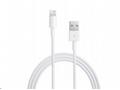 APPLE USB kabel s konektorem Lightning (0,5m)