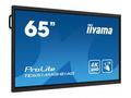 65" iiyama TE6514MIS-B1AG:VA, 4K, 50P, USB-C