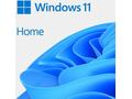 OEM Windows 11 Home 64Bit CZ 1pk DVD