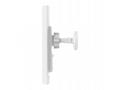 TP-Link Sector Bridge 5