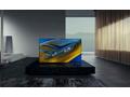 Sony Bravia Professional Displays FWD-65A80L - 65"