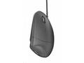 TRUST Myš Verto ergonomic mouse USB, black (černá)