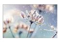 SAMSUNG LFD 46" - LH46VMBUBGBXEN Video wall