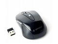 GEMBIRD myš MUSW-6B-01, černá, bezdrátová, USB nan