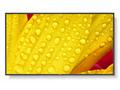50" LED NEC ME501,3840x2160, VA, 18, 7,400cd