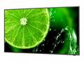 65" LED NEC E658,3840x2160, IPS, 16, 7,350cd