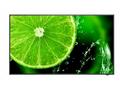 55" LED NEC E558,3840x2160, IPS, 16, 7,350cd