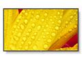 65" LED NEC M651-2,3840x2160, IPS, 24, 7,500cd