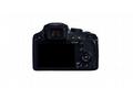 Panasonic Lumix FZ82D - 60x zoom, 18 MPix