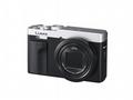 Panasonic Lumix DC-TZ99 - stříbrný