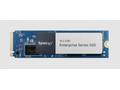 Synology - Enterprise Series - SSD - 1600 GB - int