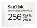 SanDisk High Endurance, micro SDXC, 256GB, Class 1