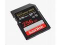 SanDisk Extreme Pro - Paměťová karta flash - 256 G