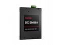 SanDisk Carrera Syndicate SSD 7.68TB DC, SN861, PC
