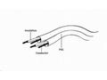 GEMBIRD 3,5 mm stereo audio cable, 2 m, M, M
