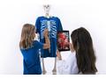 Curiscope - T-shirt - Youth XL