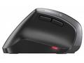 CHERRY MW 4500 LEFT - Myš - ergonomický - levák - 
